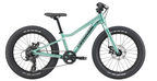 Cannondale Trail Mountain Bike - Kids