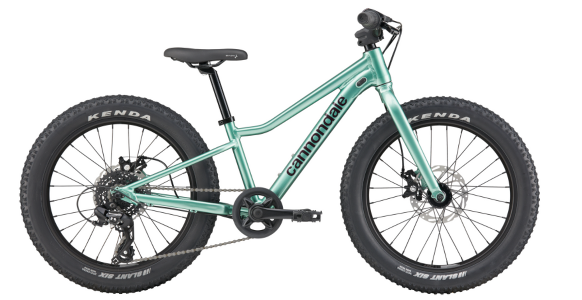 Cannondale Trail Mountain Bike - Kids