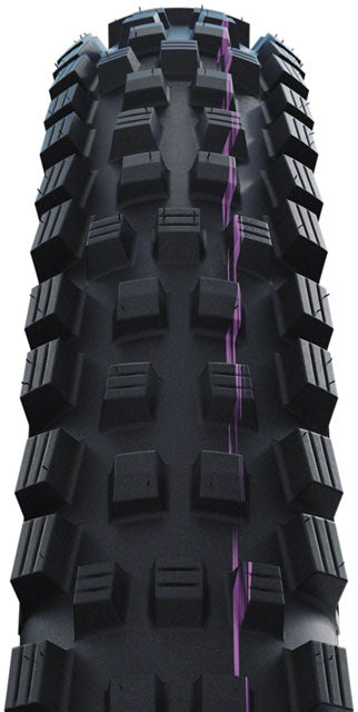 Schwalbe Magic Mary Bike Tire