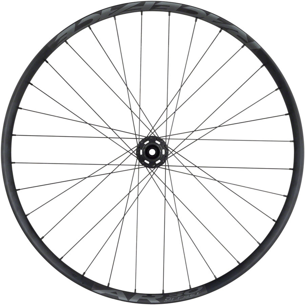 Bear Pawls/RaceFace AR Rear Wheel - 29" - 6-Bolt - Black - 6-Bolt Disc - 30mm internal - Tubeless Ready Clincher