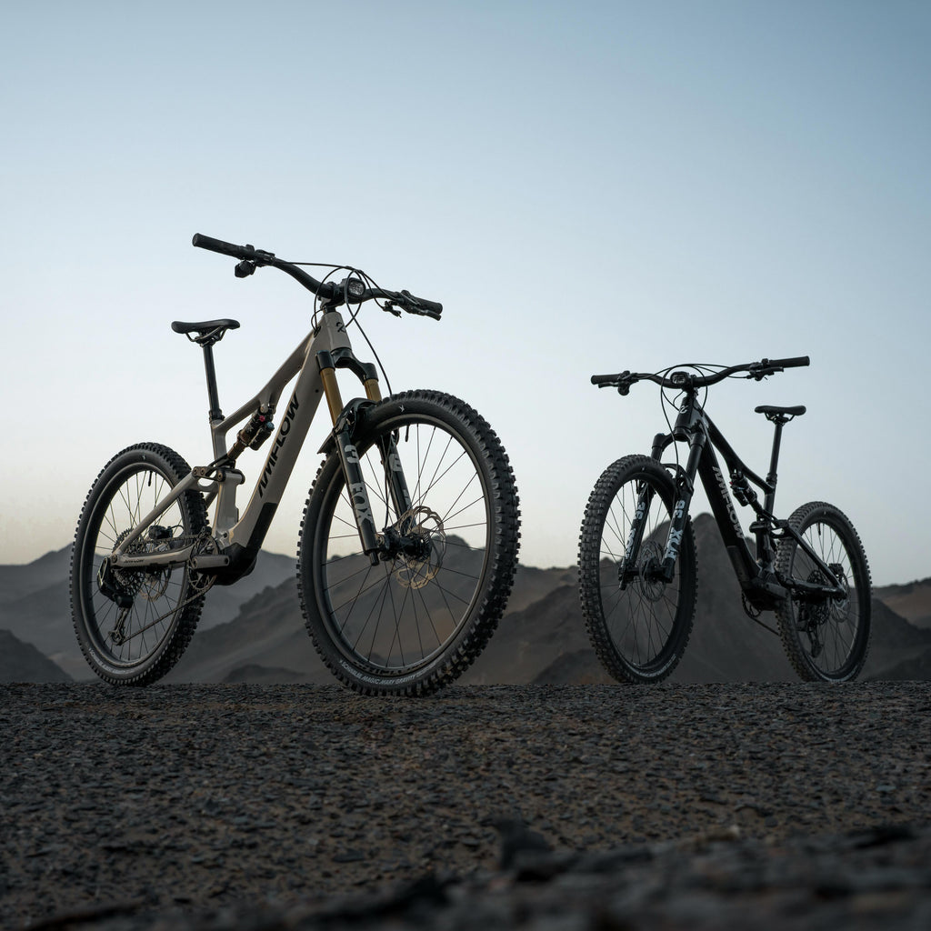 Amflow PX Carbon and PX Carbon Pro E-MTB