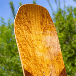 Arbor Wasteland Snowboard