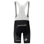 Cannondale CFR Replica Bib Cycling Shorts - Men's