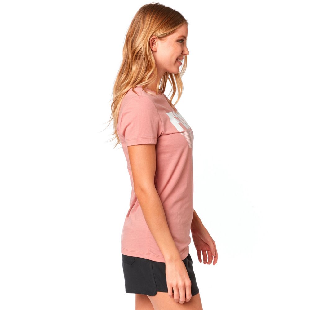 Fox Racing Ascot Short Sleeve Crew Tee - Women's