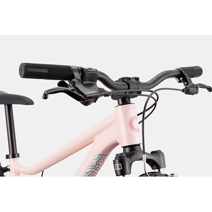 Cannondale Trail Mountain Bike - Kids