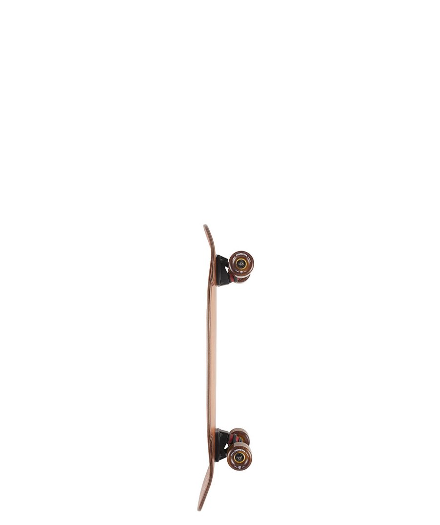 Arbor Complete Flagship Pilsner Longboard