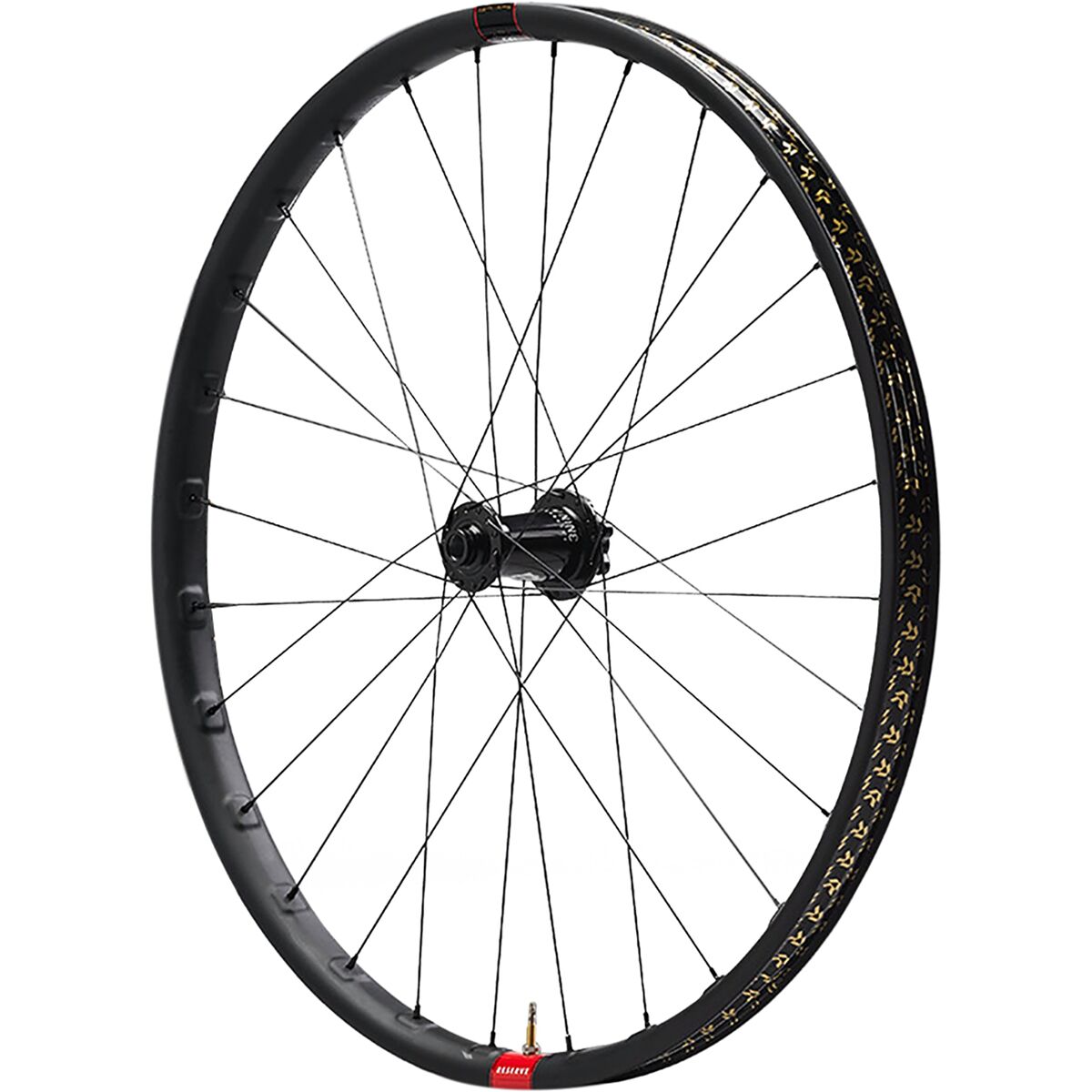 Santa Cruz Reserve 30 Wheelsets