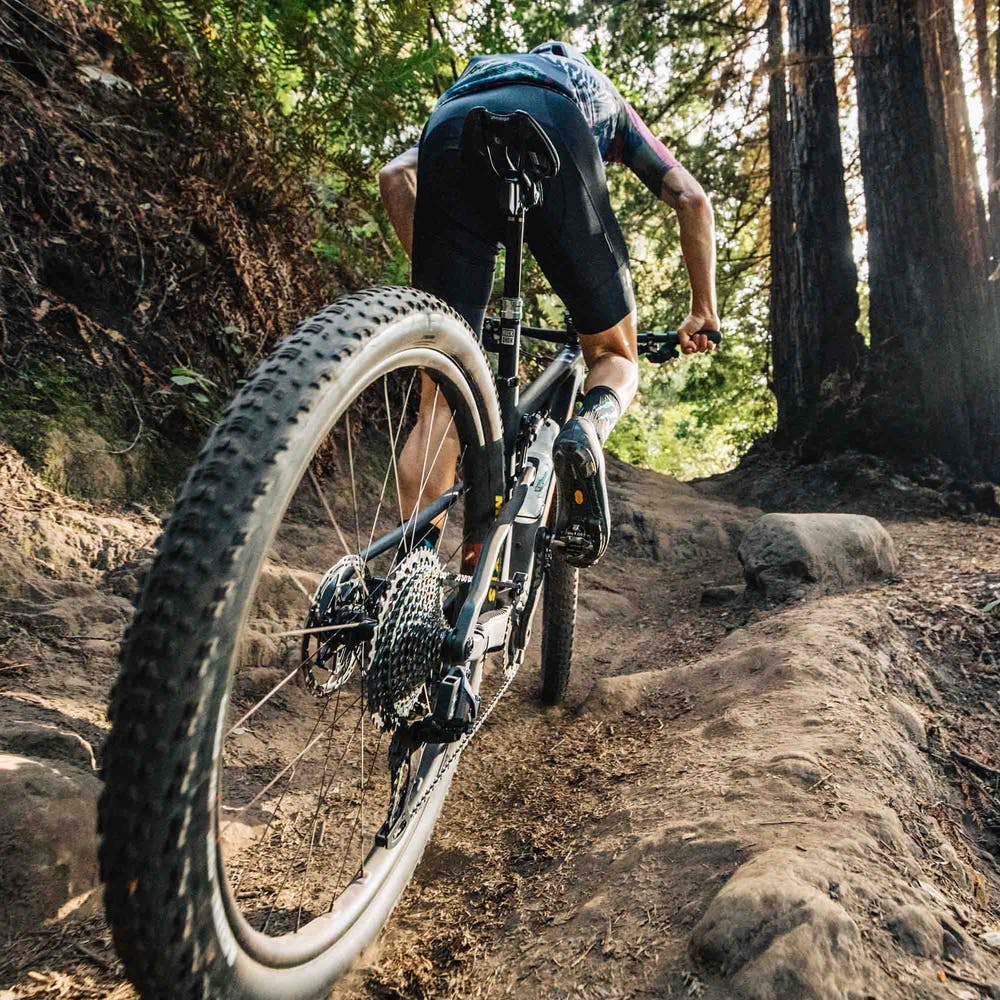 Santa Cruz Blur Cross Country Mountain Bike