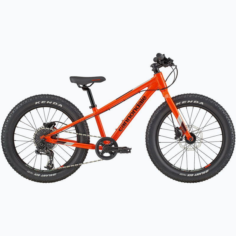 Cannondale Cujo Mountain Bike - Kids