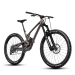 Evil Bike Co. Wreckoning - LS Full Suspensions Full Carbon Enduro/Downhill 29 Inch Mountain Bike