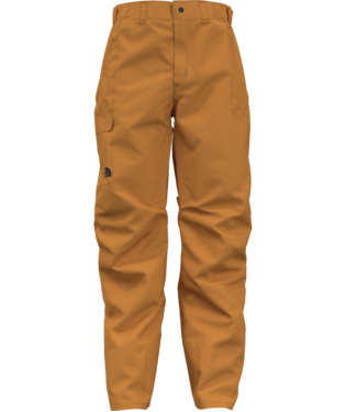 The North Face Freedom Snow Pant - Men's