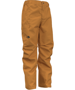 The North Face Freedom Snow Pant - Men's