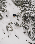 Arbor Bryan Iguchi Pro Snowboard