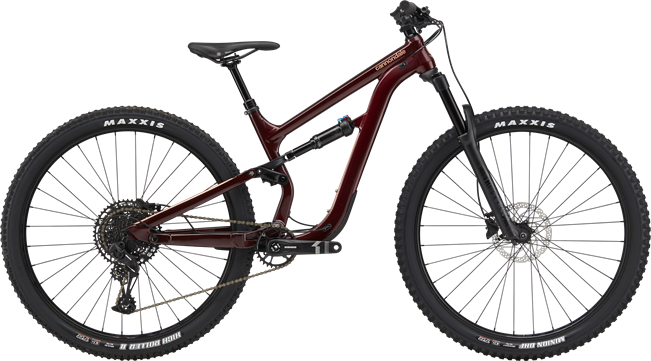4 Hour Bike Rental Package (Includes bike and helmet)